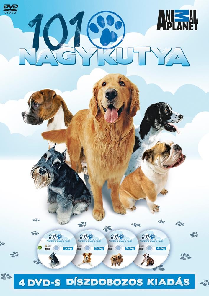 101 NAGYKUTYA -  DÍSZDOBOZ - 4DVD - (2013)