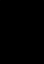 WORD 2013 ZSEBKÖNYV (2013)