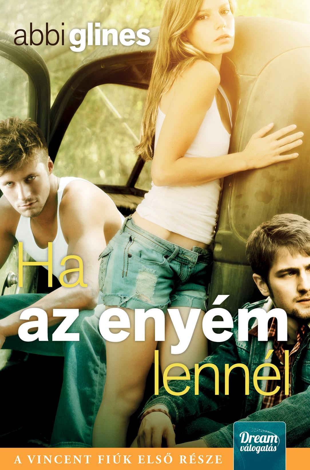 HA AZ ENYÉM LENNÉL - VINCENT FIÚK 1. (2013)