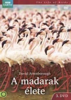 A MADARAK ÉLETE 3. BBC - DVD -