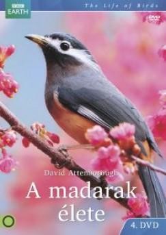 A MADARAK ÉLETE 4. BBC - DVD - (2013)