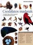 CSODÁLATOS MADARAK