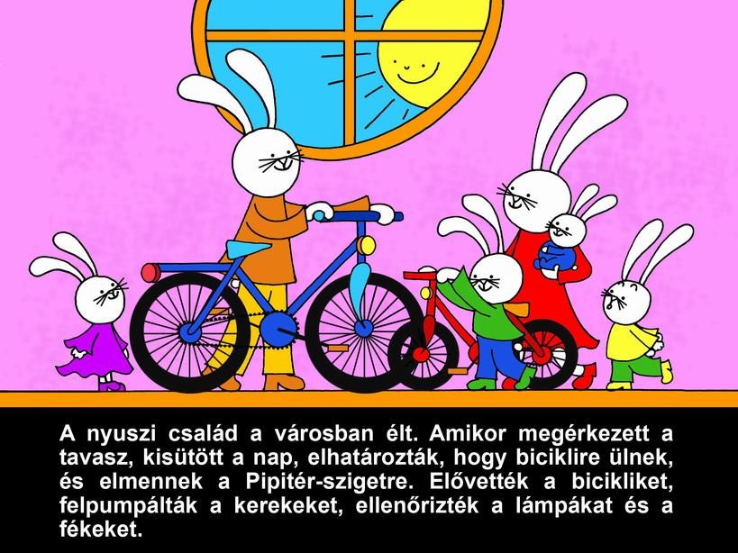 BICIKLITÚRA A PIPITÉR-SZIGETRE - DIA - (2012)