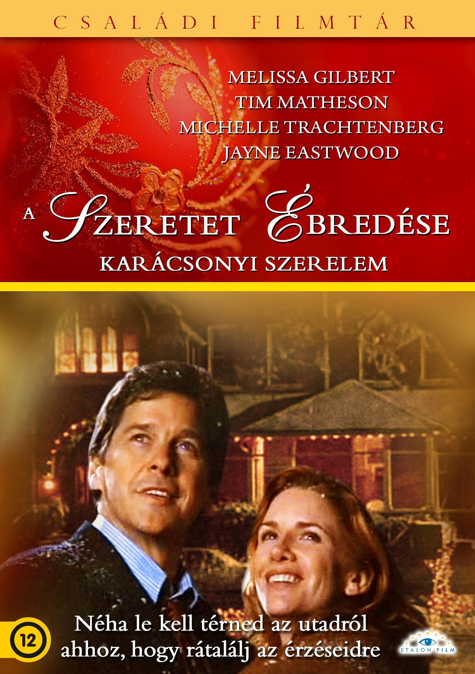A SZERETET ÉBREDÉSE - KARÁCSONYI SZERELEM - DVD - (2013)