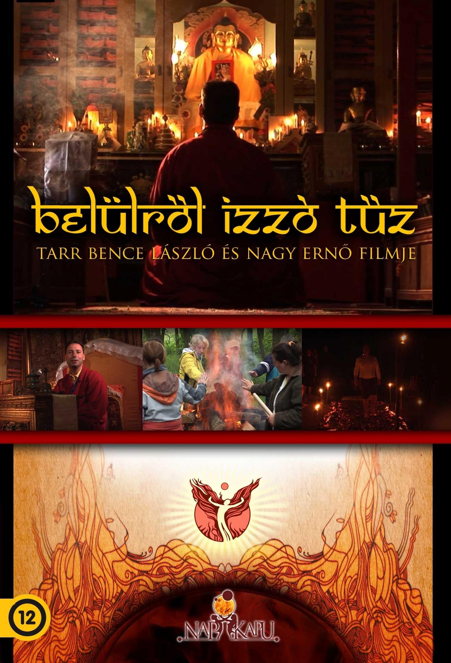BELÜLRŐL IZZÓ TŰZ - DVD - (2013)