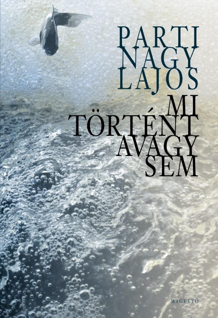 MI TÖRTÉNT AVAGY SEM (2013)