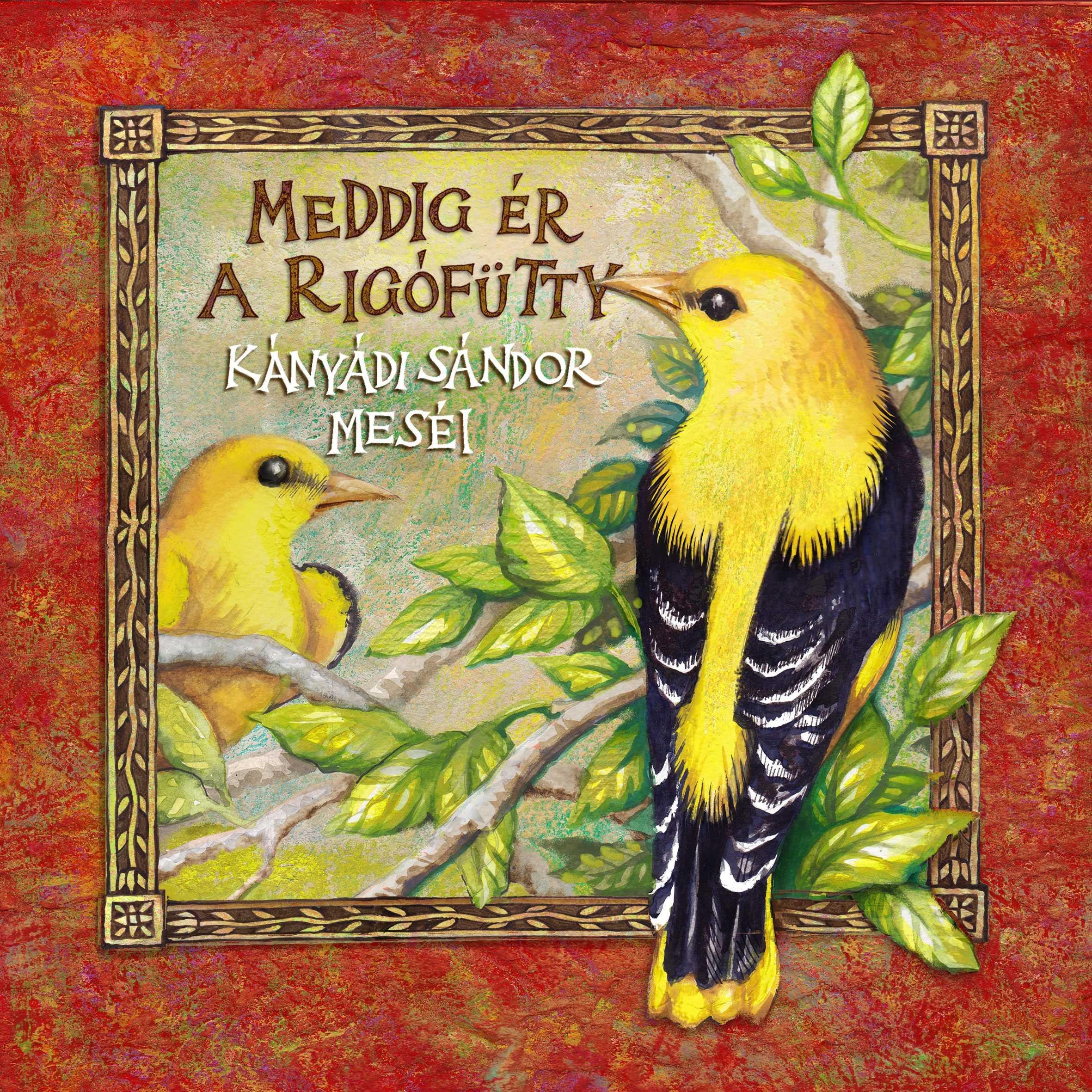 MEDDIG ÉR A RIGÓFÜTTY - KÁNYÁDI SÁNDOR MESÉI (2013)