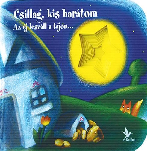 CSILLAG, KIS BARÁTOM AZ ÉJ LESZÁLL A TÁJON... (2013)