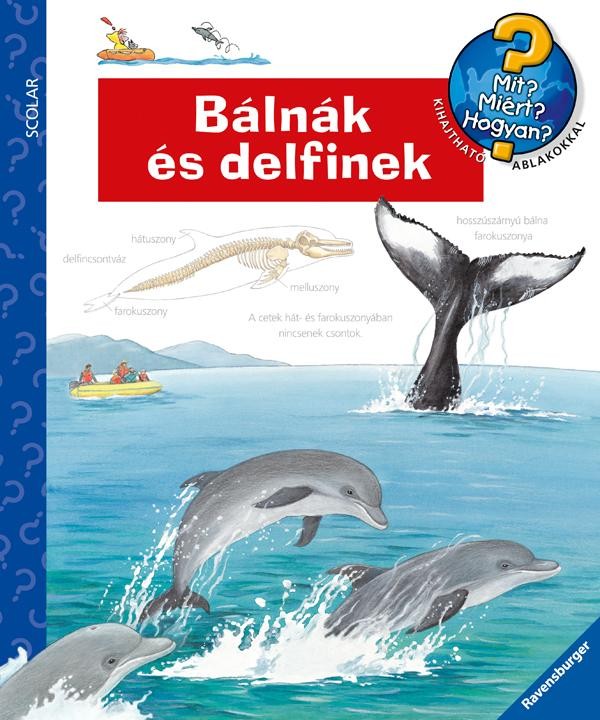 BÁLNÁK ÉS DELFINEK - MIT? MIÉRT? HOGYAN? 37. (2013)