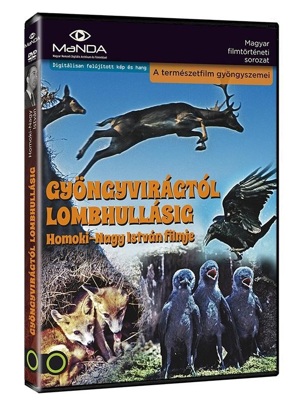 GYÖNGYVIRÁGTÓL LOMBHULLÁSIG - DVD - (2013)