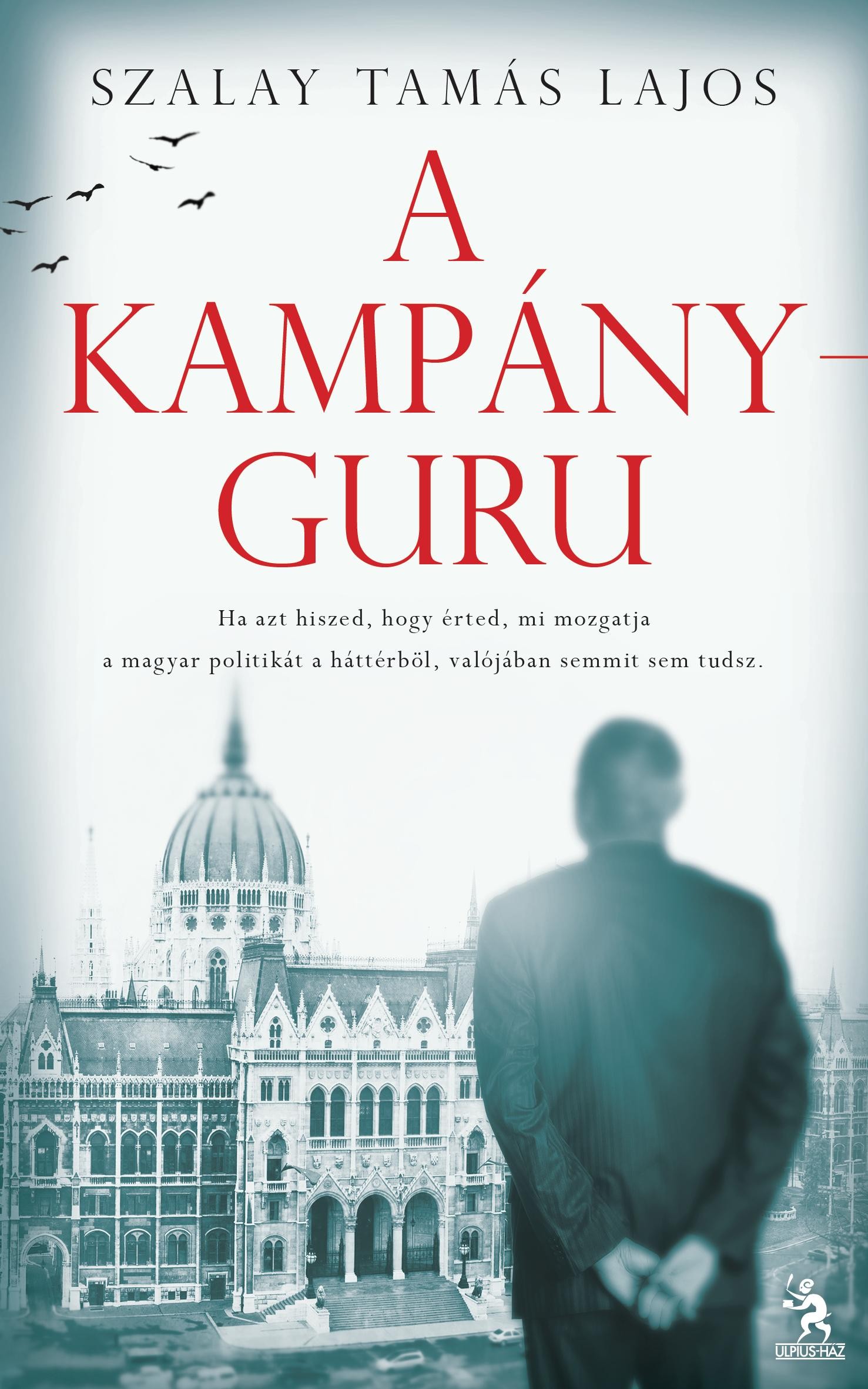 A KAMPÁNYGURU (2013)