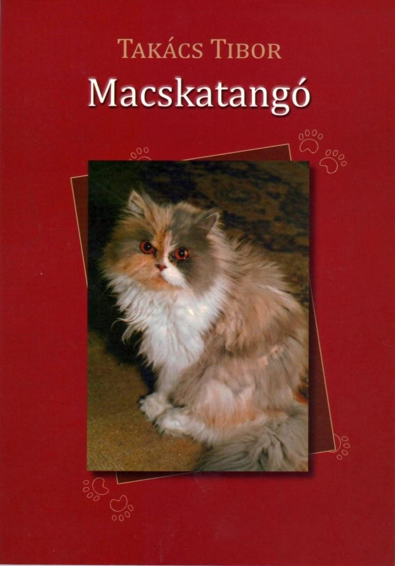 MACSKATANGÓ (2013)