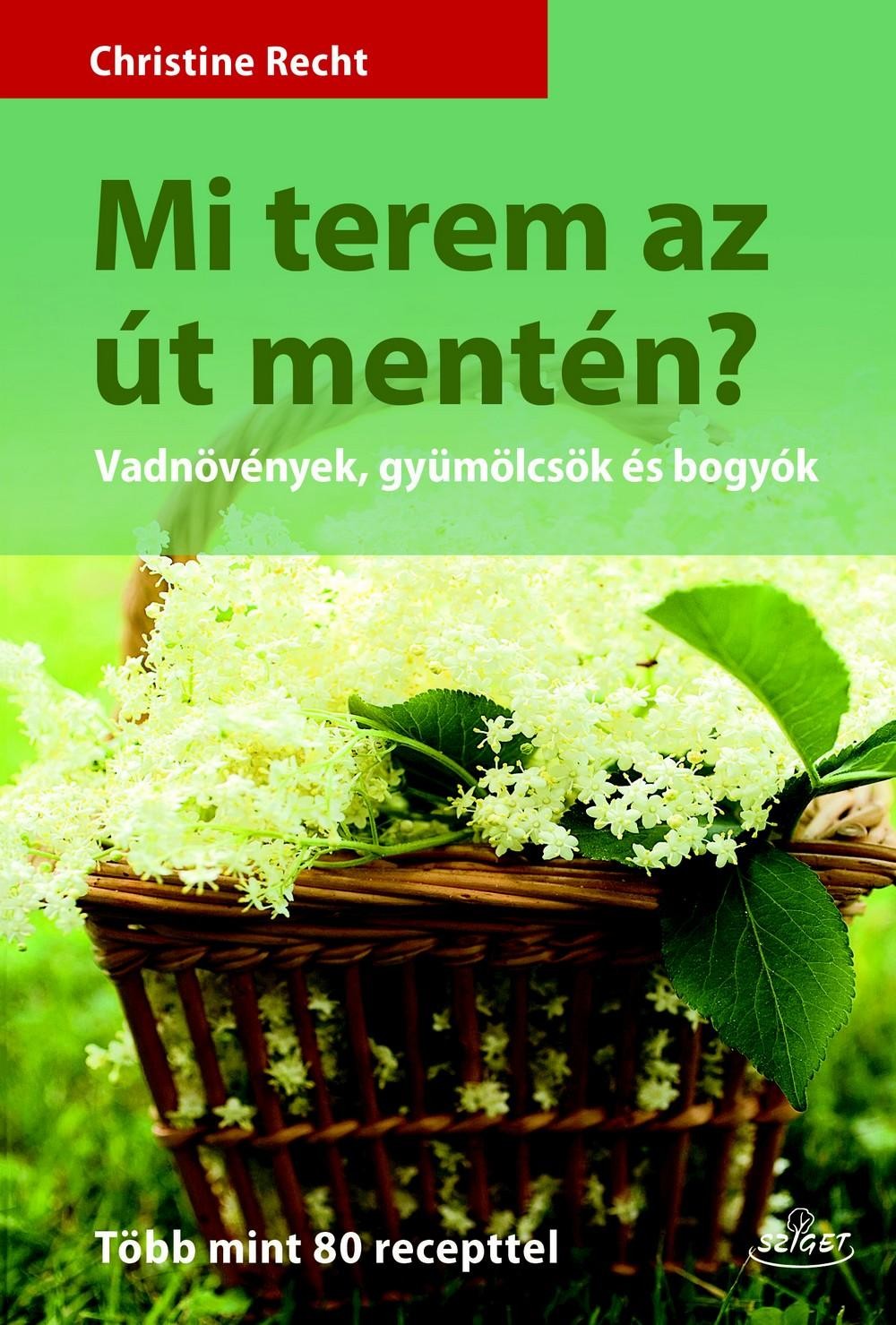 MI TEREM AZ ÚT MENTÉN? (2014)