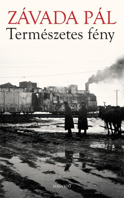 TERMÉSZETES FÉNY - (2014)