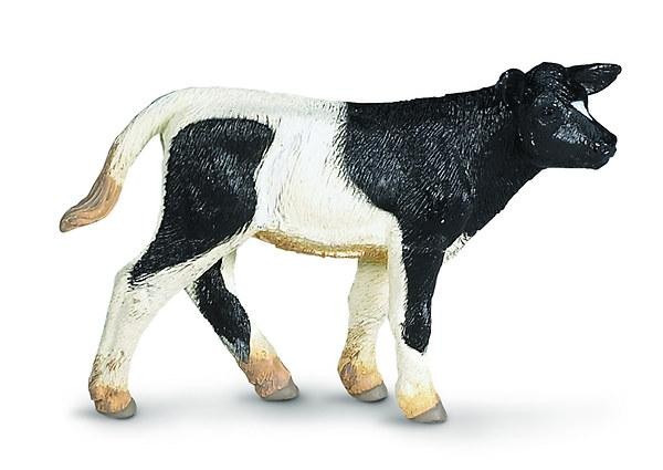 HOLSTEIN BORJÚ (232729) (2014)
