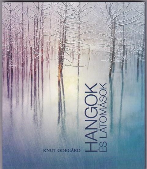 HANGOK ÉS LÁTOMÁSOK (2013)