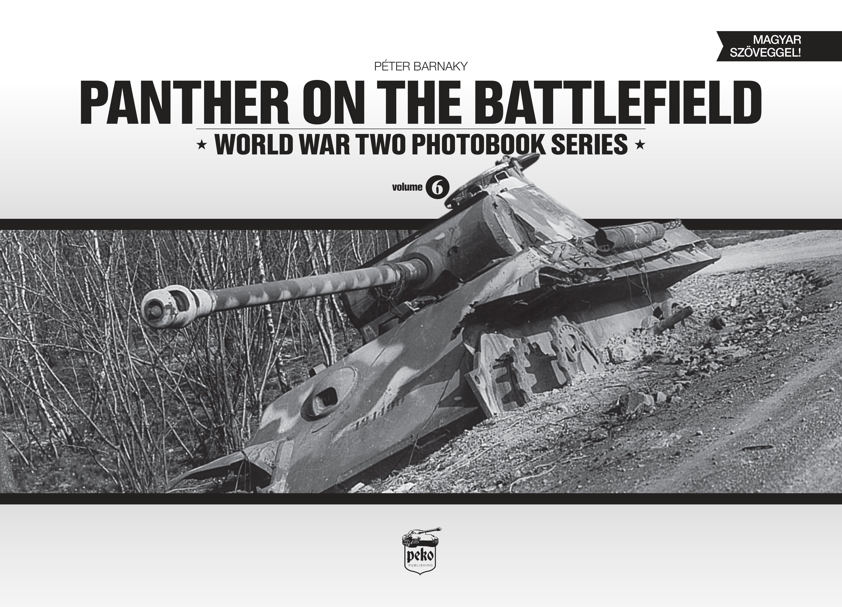 PANTHER ON THE BATTLEFIELD (2014)