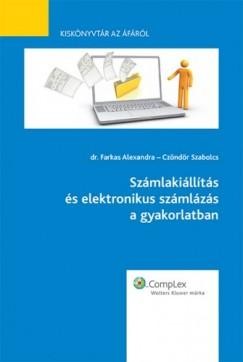 SZÁMLAKIÁLLÍTÁS ÉS ELEKTRONIKUS SZÁMLÁZÁS A GYAKORLATBAN - KISKÖNYVTÁR AZ ÁFÁRÓL (2013)