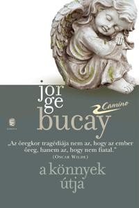 A KÖNNYEK ÚTJA - CAMINO (2014)