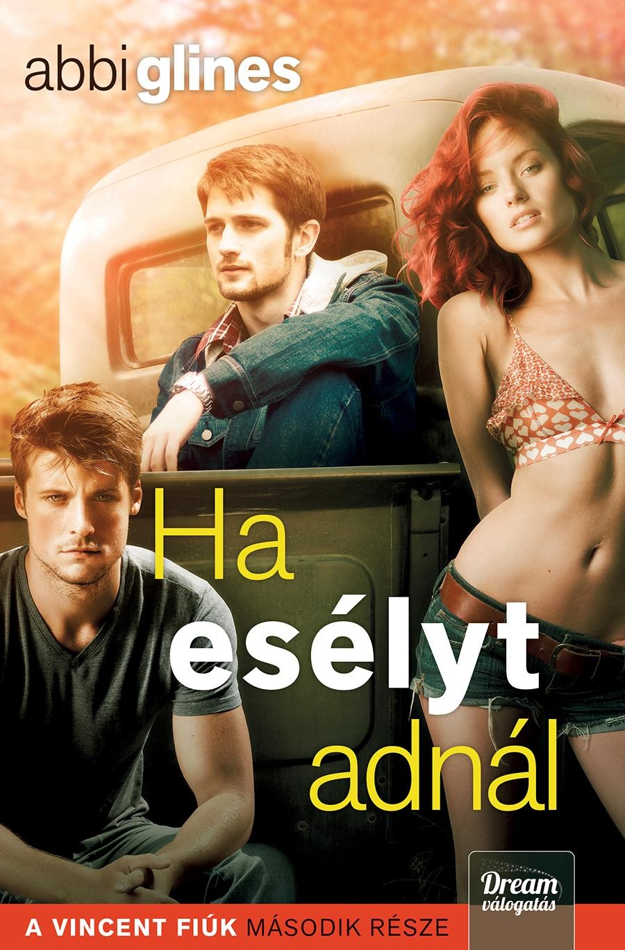 HA ESÉLYT ADNÁL - A VINCENT FIÚK 2. (2014)