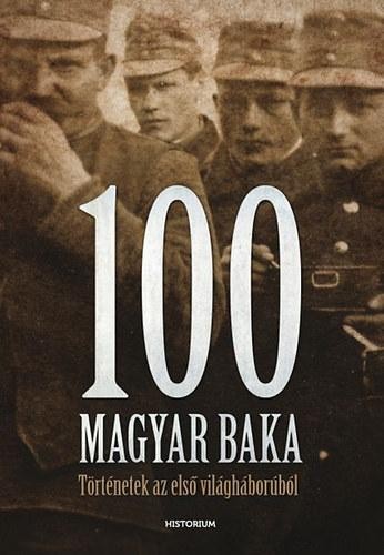 100 MAGYAR BAKA - TÖRTÉNETEK AZ ELSŐ VILÁGHÁBORÚBÓL (2014)