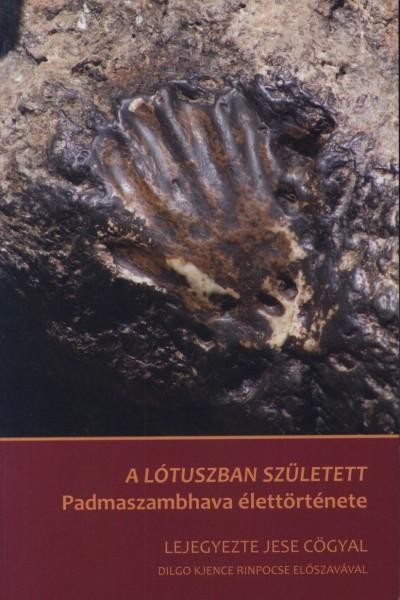 A LÓTUSZBAN SZÜLETETT - PADMASZAMBHAVA ÉLETTÖRTÉNETE (2014)