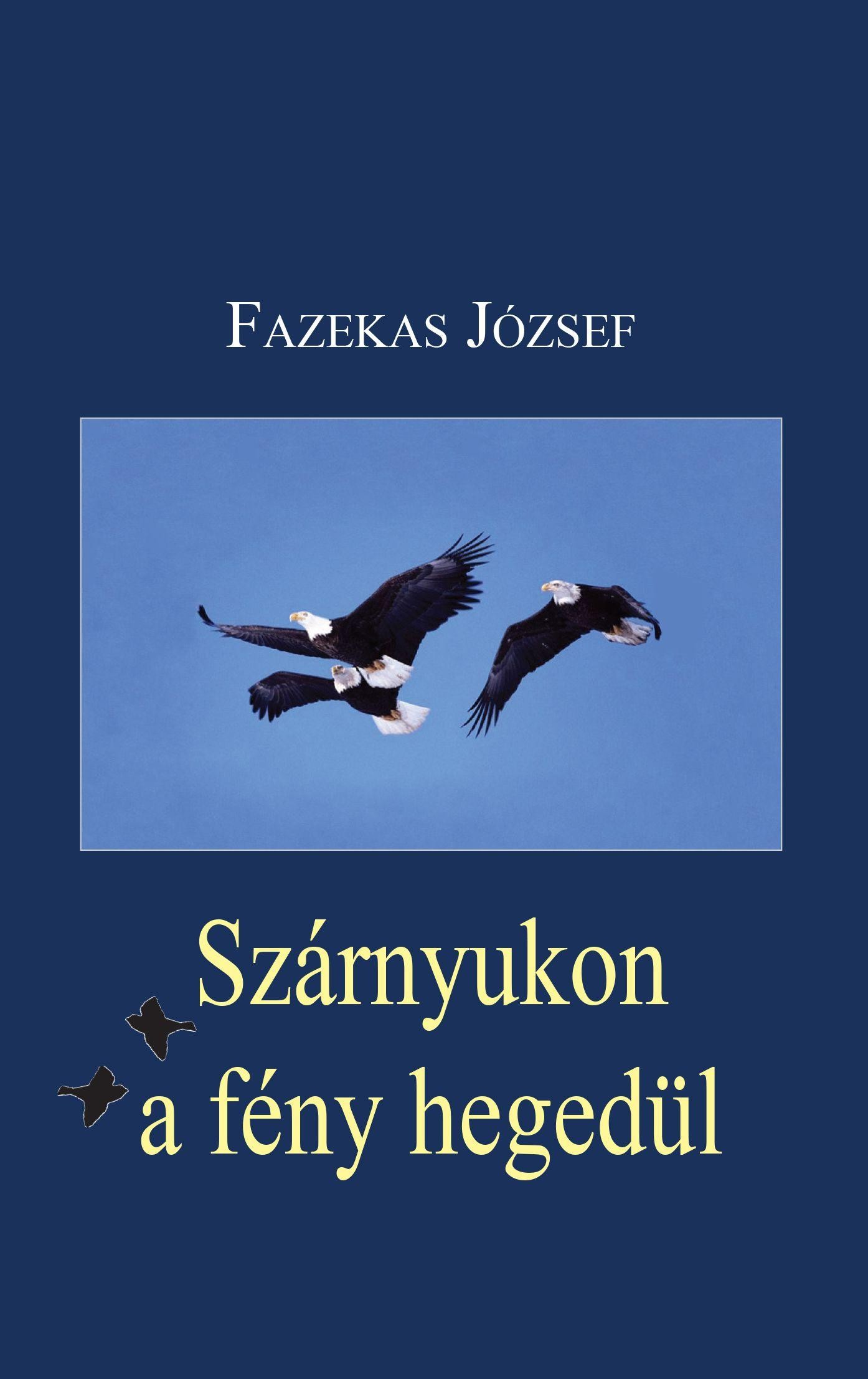 SZÁRNYUKON A FÉNY HEGEDÜL (2014)