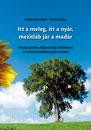 ITT A MELEG, ITT A NYÁR, MEZÍTLÁB JÁR A MADÁR - ÓVODAI JÁTÉKOS FEJLESZTÉSEK KÉZI (2010)
