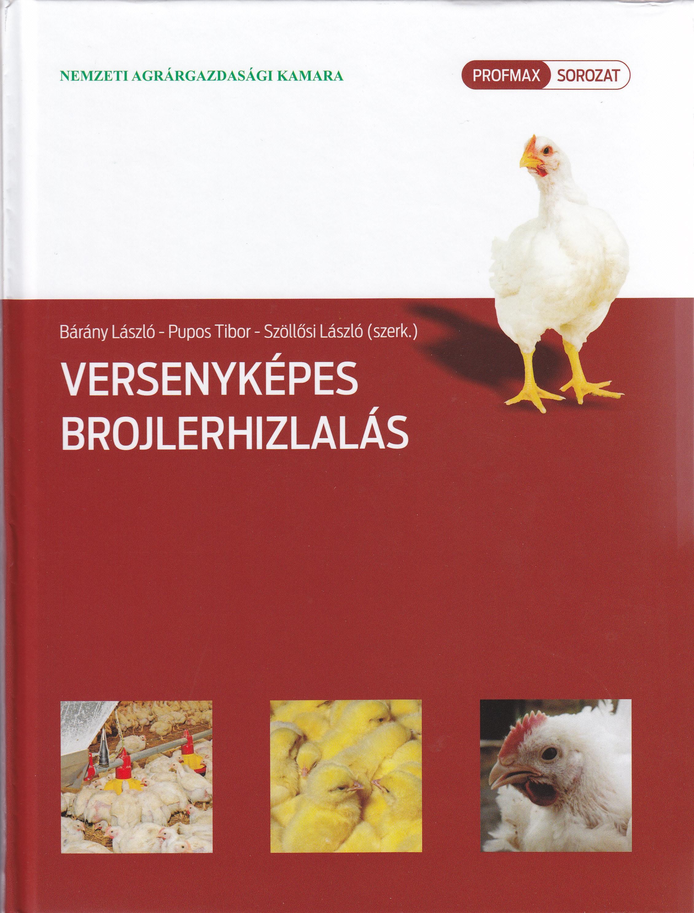 VERSENYKÉPES BROJLERHIZLALÁS (2013)