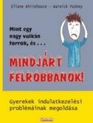 MINT EGY NAGY VULKÁN FORROK, ÉS... MINDJÁRT FELROBBANOK! (2013)