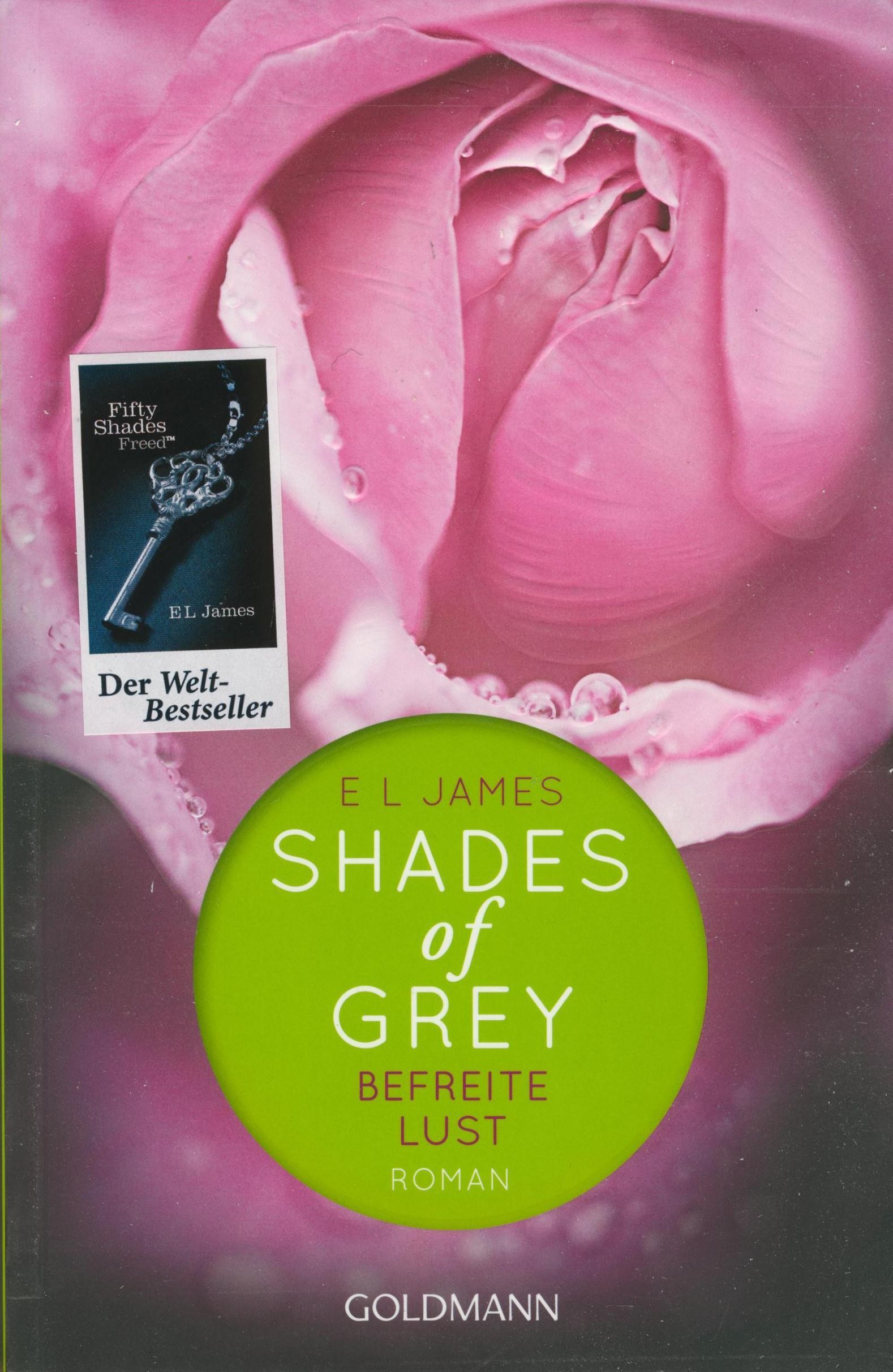 SHADES OF GREY - BEFREITE LUST (2012)