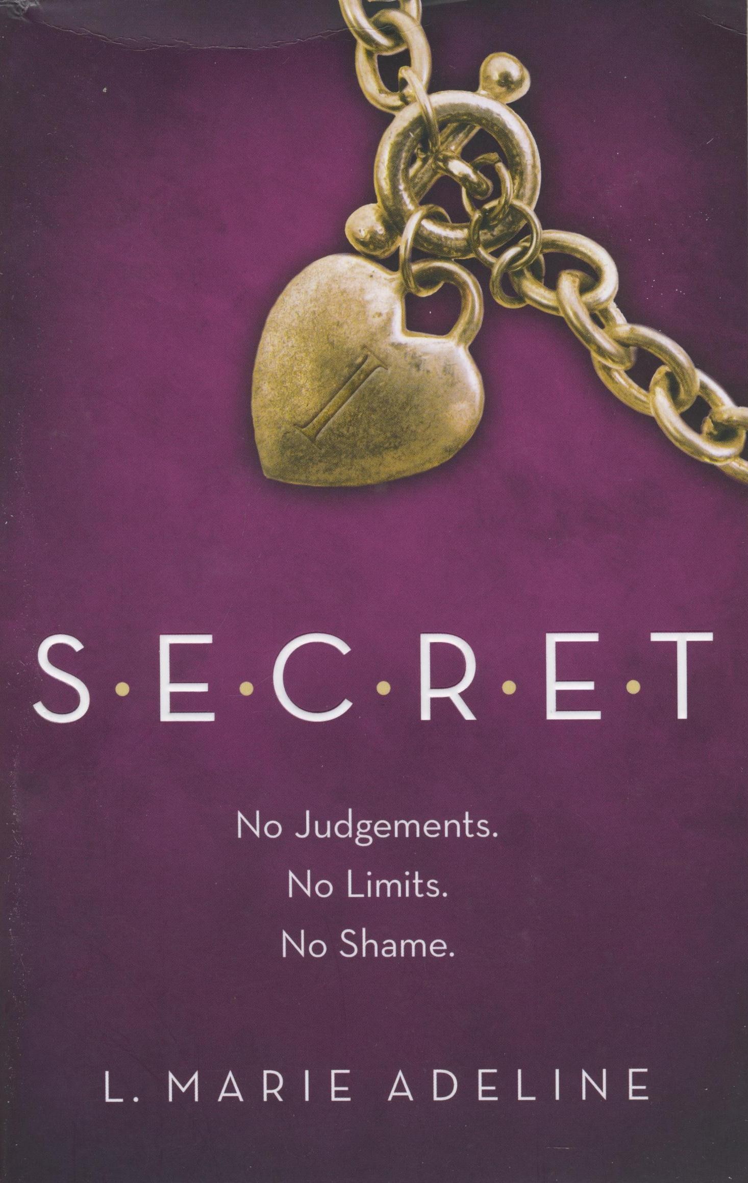 S.E.C.R.E.T (2013)