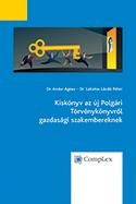 KISKÖNYV AZ ÚJ POLGÁRI TÖRVÉNYKÖNYVRŐL GAZDASÁGI SZAKEMBEREKNEK (2014)
