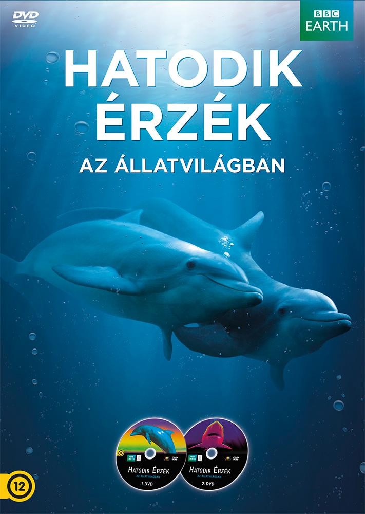 HATODIK ÉRZÉK AZ ÁLLATVILÁGBAN (BBC) - DÍSZDOBOZ - 2DVD - (2014)