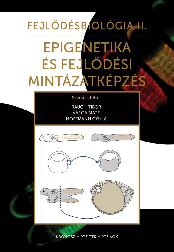 EPIGENETIKA ÉS FEJLŐDÉSI MINTÁZATKÉPZÉS - FEJLŐDÉSBIOLÓGIA II. (2014)