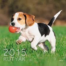 KUTYÁK - NAPTÁR 2015 (2014)