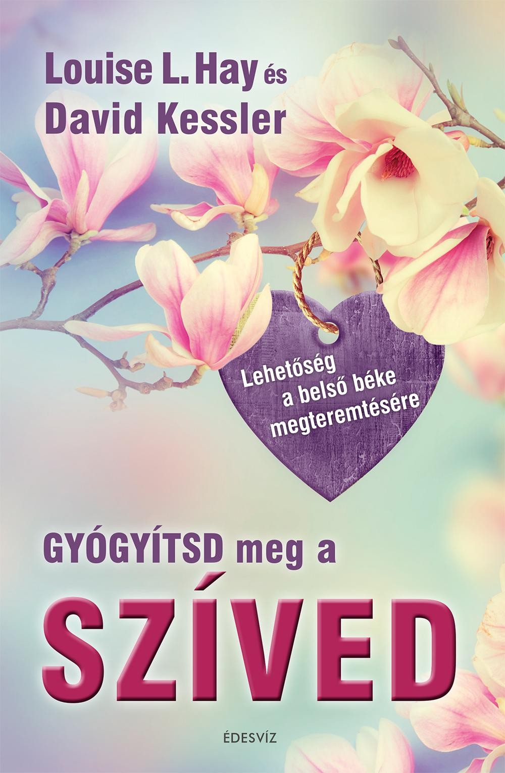 GYÓGYÍTSD MEG A SZÍVED (2014)
