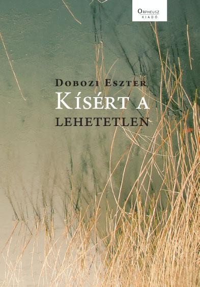 KÍSÉRT A LEHETETLEN (2014)