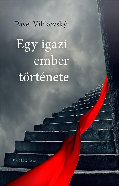 EGY IGAZ EMBER TÖRTÉNETE (2014)
