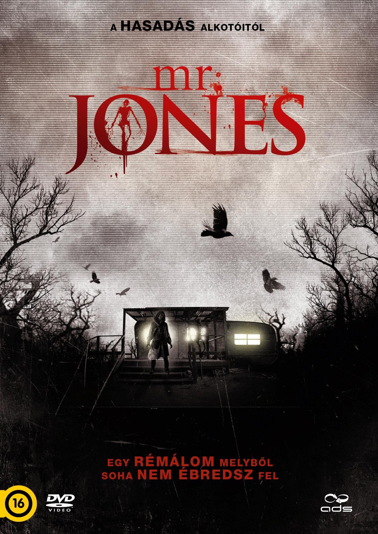 MR. JONES   - DVD - (2014)