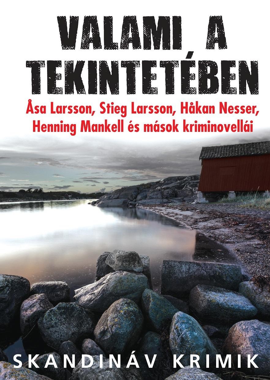 VALAMI A TEKINTETÉBEN - SKANDINÁV KRIMIK (NOVELLÁK) (2014)