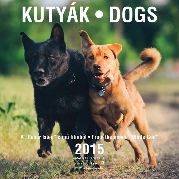 KUTYÁK 2015 - A FEHÉR ISTEN" C. FILMBŐL - NAPTÁR 18*18 (2014)"