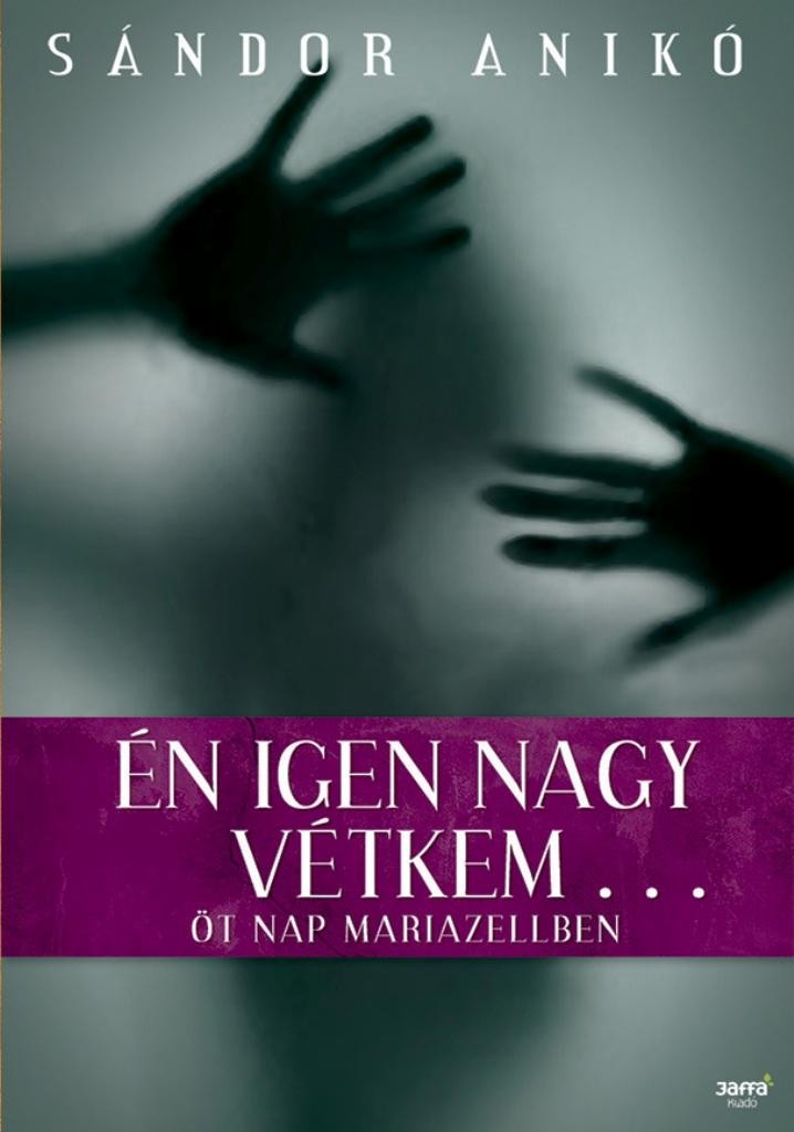 ÉN IGEN NAGY VÉTKEM... (2014)
