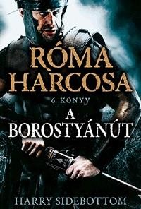 A BOROSTYÁNÚT - RÓMA HARCOSA 6. KÖNYV (2014)
