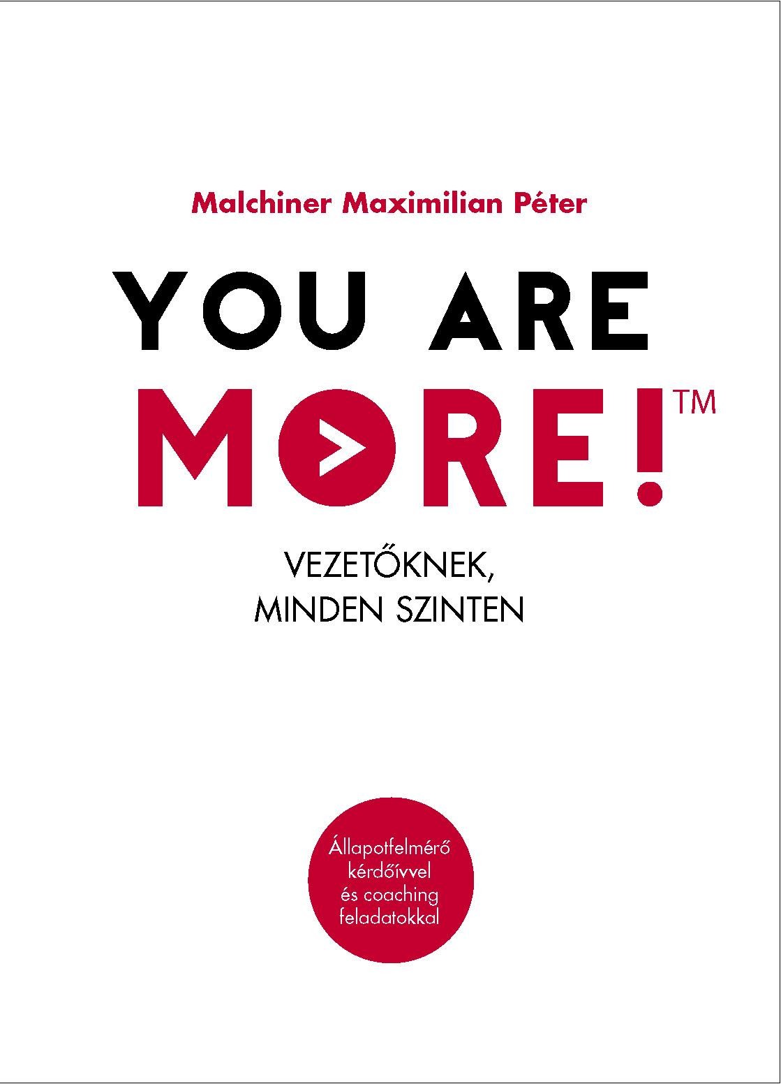 YOU ARE MORE! - VEZETŐKNEK, MINDEN SZINTEN (2014)