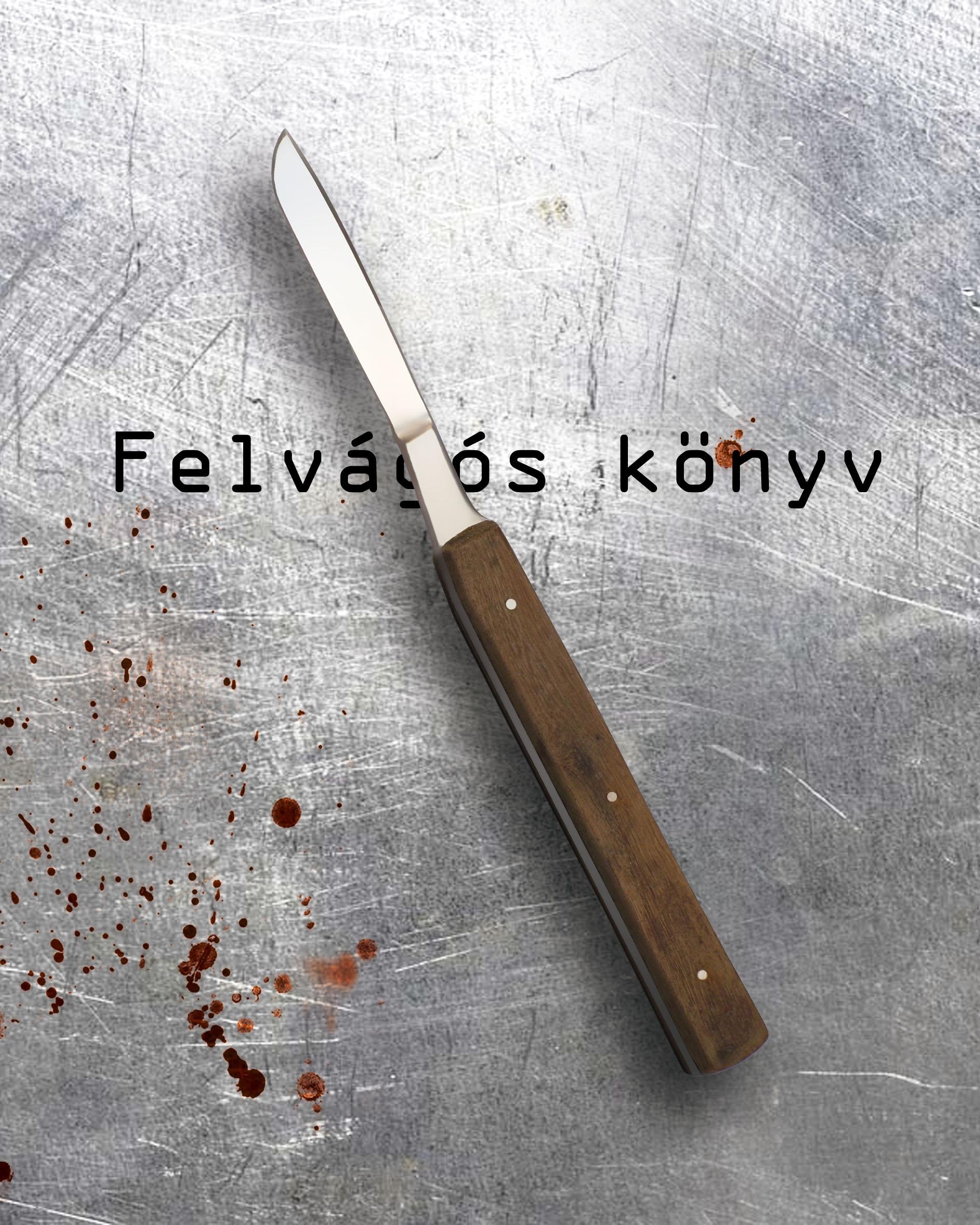 FELVÁGÓS KÖNYV (2014)