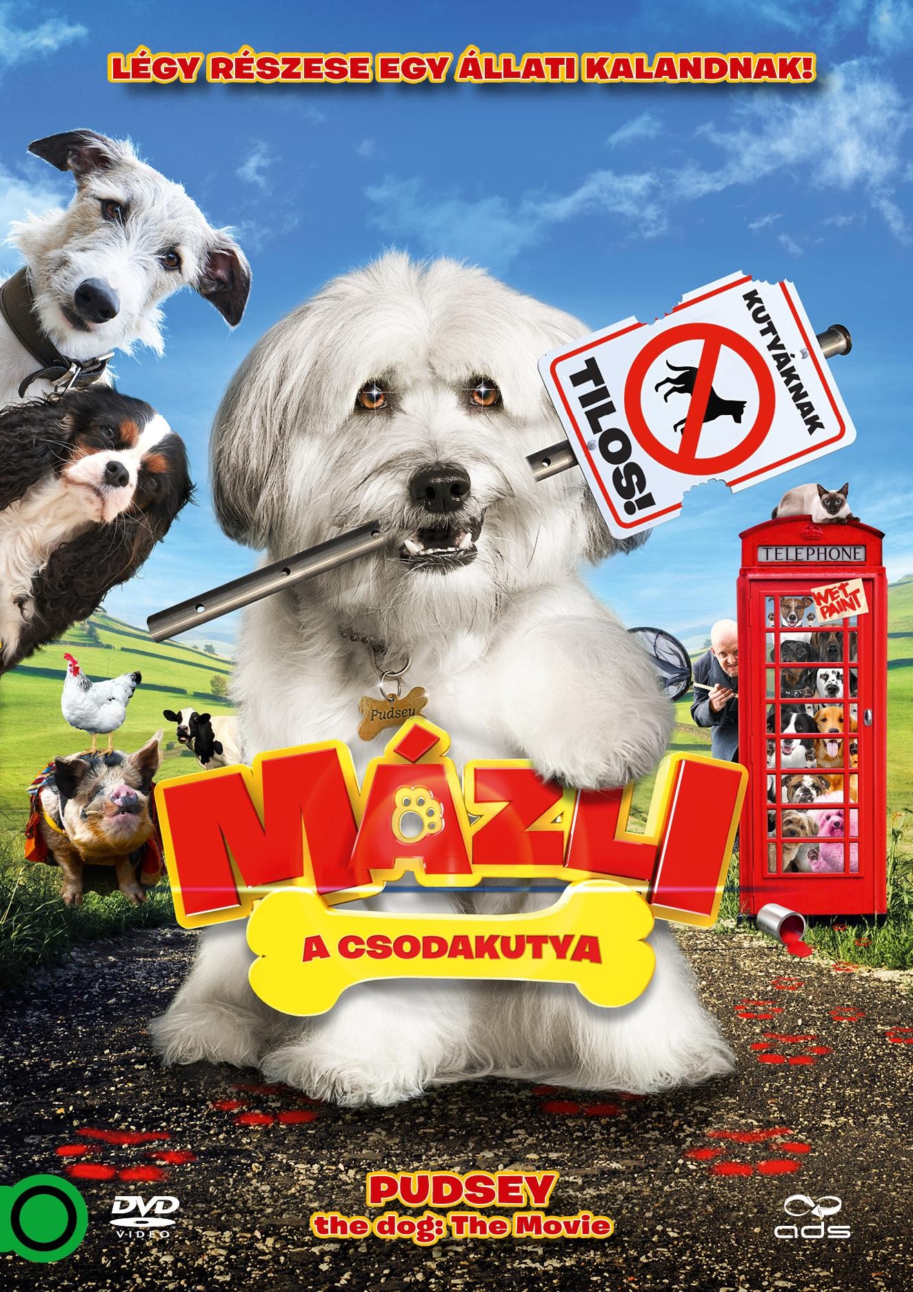 MÁZLI A CSODAKUTYA - DVD - (2014)