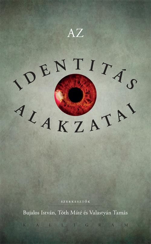 AZ IDENTITÁS ALAKZATAI (2015)