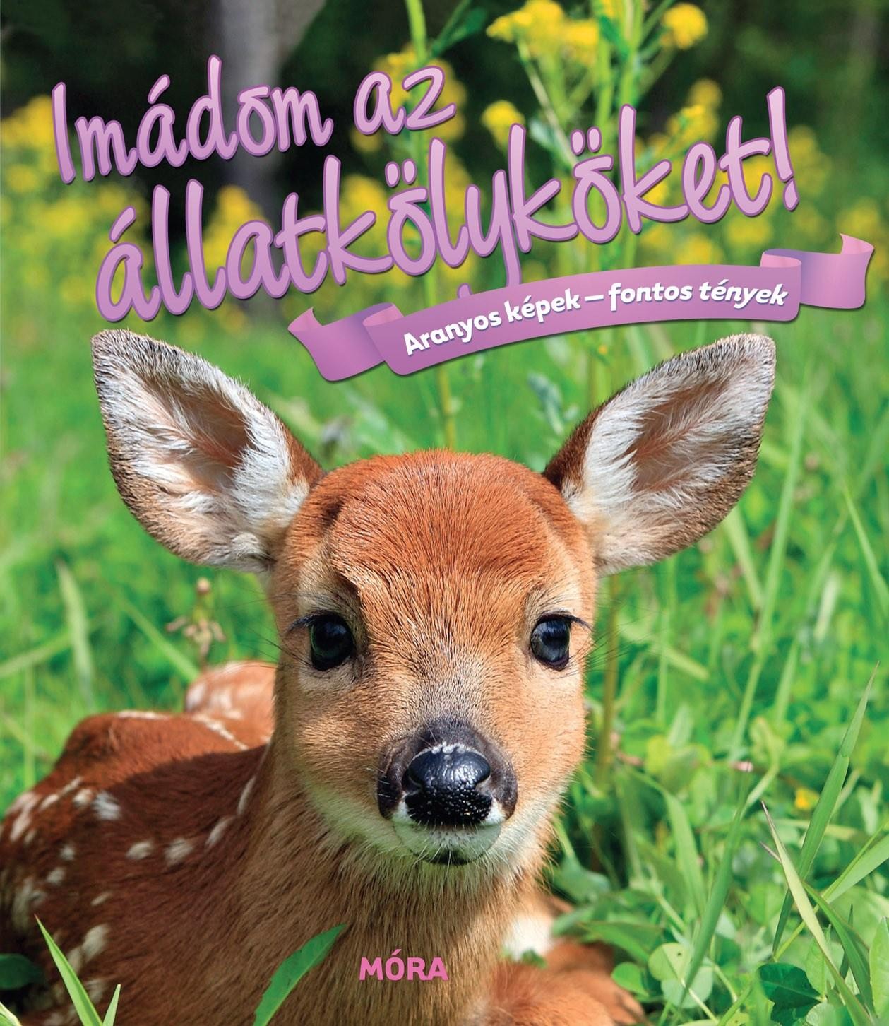 IMÁDOM AZ ÁLLATKÖLYKÖKET! - ARANYOS KÉPEK - FONTOS TÉNYEK (2015)