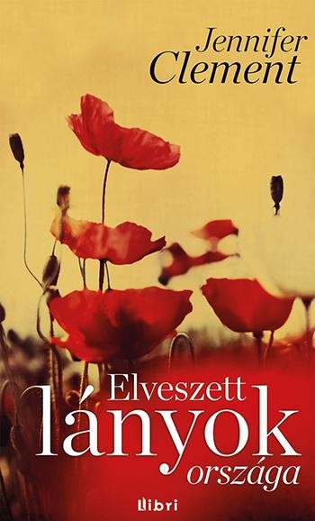 ELVESZETT LÁNYOK ORSZÁGA (2015)